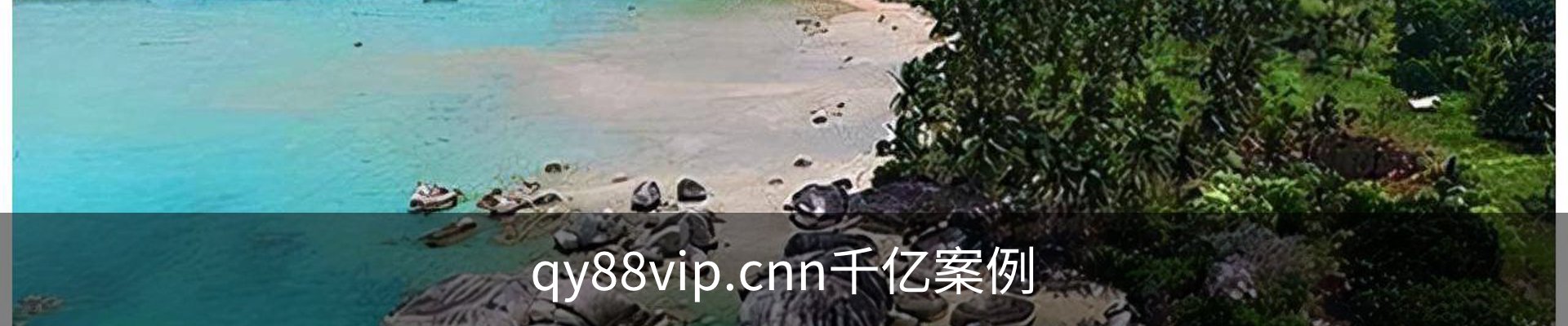 qy88vip.cnn千亿案例